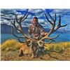 Image 2 : Gold Medal Red Stag Hunt for 1 Hunter and one non-hunter in New Zealand Includes Trophy Fee with Gle