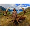 Image 3 : Gold Medal Red Stag Hunt for 1 Hunter and one non-hunter in New Zealand Includes Trophy Fee with Gle