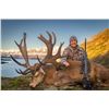 Image 4 : Gold Medal Red Stag Hunt for 1 Hunter and one non-hunter in New Zealand Includes Trophy Fee with Gle