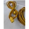 Image 3 : 2 Electrical Extension Cords and a Trouble Light