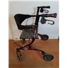 Image 2 : *Xcursion/Airgo Rollator