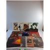 Image 1 : (12) Vinyl Records