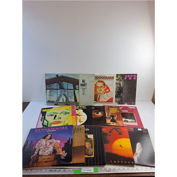 (14) Vinyl Records