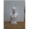 Image 1 : *Male Display Torso