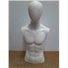 Image 2 : *Male Display Torso