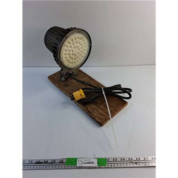 Outdoor LED Light