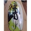 Image 2 : O'Brien Wake Board