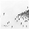 Image 2 : Populus: The Walk by Alan, Craig