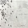 Image 2 : Populus: Quiet Gaze by Alan, Craig