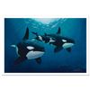 Image 1 : Orca Calling by Wyland