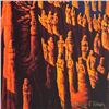 Image 2 : The Choir by Finney, Vernon