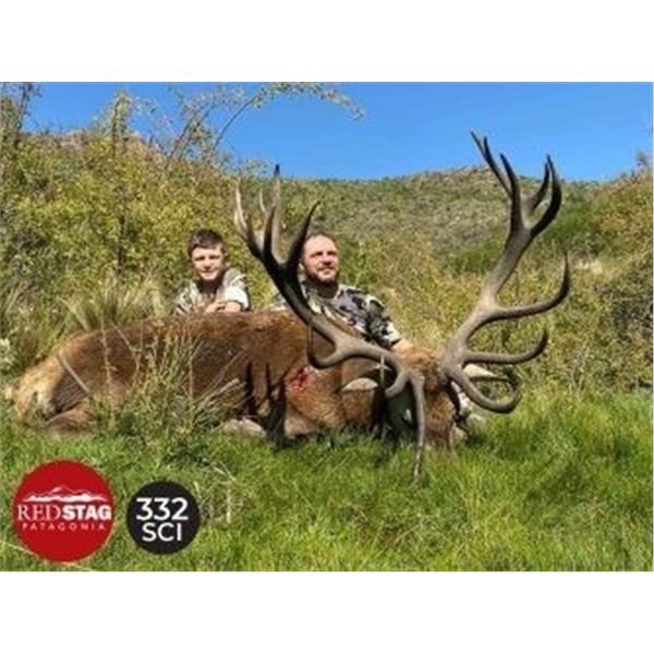 Red Stag hunt