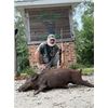 Image 3 : South Carolina Whitetail and Hog Combo Hunt