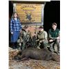 Image 5 : South Carolina Whitetail and Hog Combo Hunt