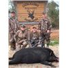 Image 6 : South Carolina Whitetail and Hog Combo Hunt