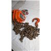 Image 1 : 1 T Chain Hoist