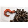 Image 4 : 1 T Chain Hoist