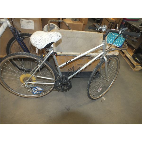 12 Speed Adult Bicycle