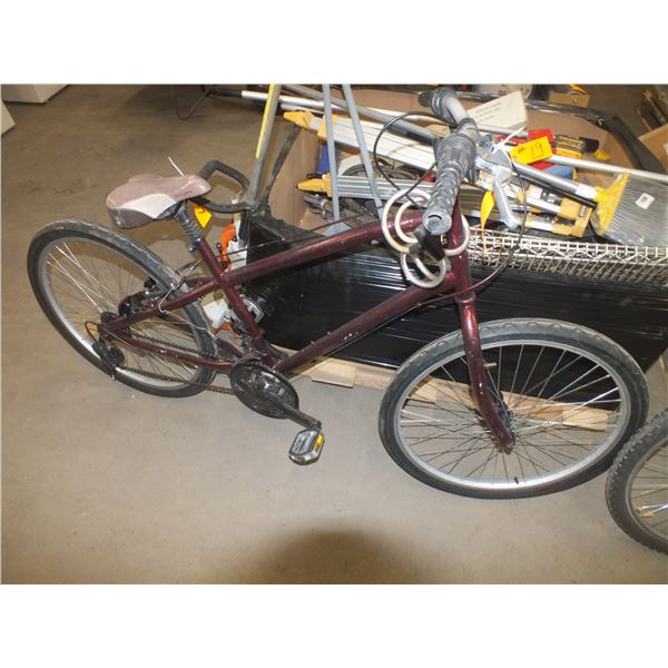 21 Speed Adult Bicycle