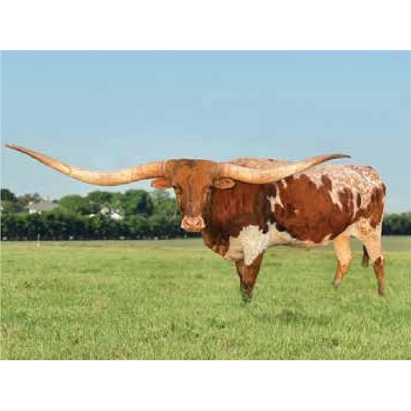 Hubbells Queens Gauge