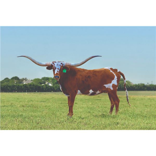 RM Iconic Cowgirl 968