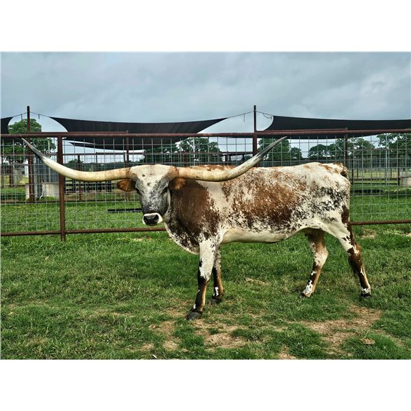 BCR AMOR DE LECHES 0