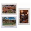 Image 1 : Three Animal Kingdom Lodge Greeting Cards.