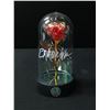 Image 1 : EMMA WATSON SIGNED ROSE UNDER GLASS FROM BEAUTY AND THE BEAST (KB AUTHENTICS COA)