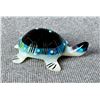 Image 1 : Abby & Lynn Quam Zuni Turtle Fetish
