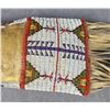 Image 5 : Cheyenne Native American Indian Pipe Bag