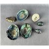 Image 1 : New Zealand Paua Shells & Eggs