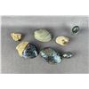 Image 2 : New Zealand Paua Shells & Eggs