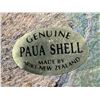 Image 3 : New Zealand Paua Shells & Eggs