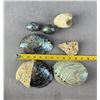 Image 4 : New Zealand Paua Shells & Eggs