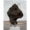 Image 2 : Campo Del Cielo Octahedrite Meteorite