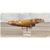 Image 1 : Ancient Thule Inuit Alaskan Eskimo Ice Probe