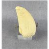 Image 2 : Alaskan Eskimo Whale Tooth Montana Residents Only