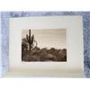 Image 2 : Edward Curtis Photogravure Pima Land