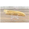 Image 2 : Alaskan Inuit Eskimo Carved Inscribed Tusk Tip