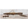 Image 1 : Ancient Thule Inuit Alaskan Eskimo Child Harpoon