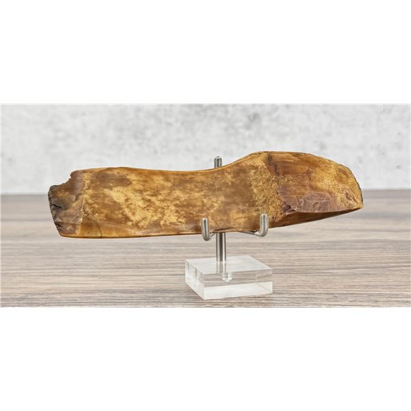 Ancient Thule Inuit Alaskan Eskimo Scraper