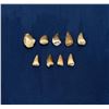 Image 1 : Fossil Mosasaur Teeth