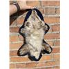 Image 1 : Taxidermy Oddity Miniature Fox Rug