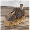 Image 3 : Lauriston Browne Black Duck Hen Decoy