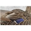 Image 4 : Lauriston Browne Black Duck Hen Decoy