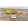 Image 2 : Ancient Thule Inuit Alaskan Eskimo Carved Tusk