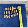 Image 3 : Fossilized Inuit Eskimo Walrus Teeth