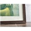 Image 2 : Antique Native American Indian Prints