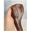 Image 3 : Antique Montana Cowboy Holster