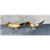 Image 2 : Pair of Steer Horns